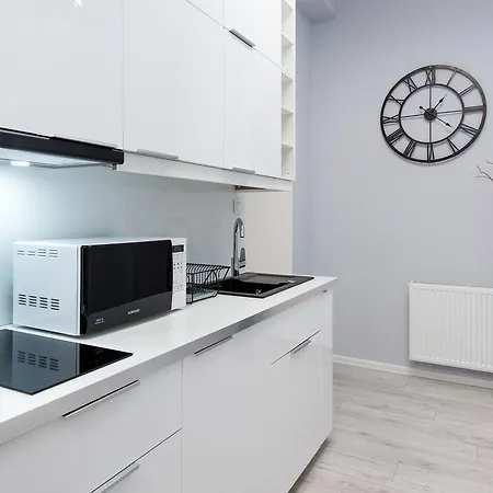 Mika Old Town Apartment *